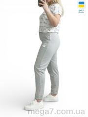Спортивные брюки, Sport style оптом 10055-1PU св.сірий