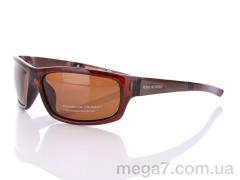 Очки, Egebar оптом P7503 C3