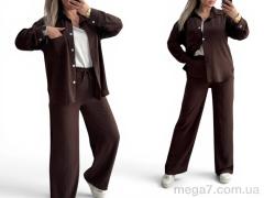 Спортивный костюм, Alisa Brand оптом 101 шоколад