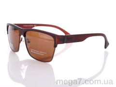 Очки, Egebar оптом P7507 C4