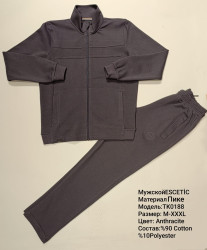 Спортивные костюмы мужские оптом 10768359 0188-97