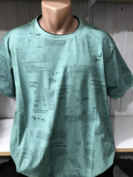 Футболки мужские БАТАЛ оптом 04328659 47-178