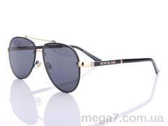 Очки, Egebar оптом P3976 C1