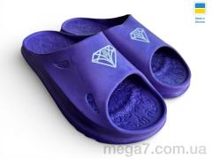 Шлепки, Rai shoes оптом 2002 фіолетовий