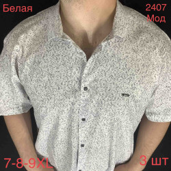 Рубашки мужские PAUL SEMIH БАТАЛ оптом 46829537 2407-47
