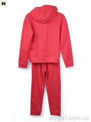 Спортивный костюм, BIG оптом 3750-805-1 d.pink