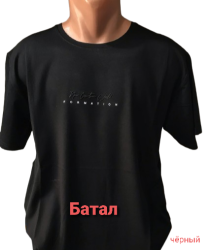 Футболки мужские БАТАЛ оптом 71938450 0102-18