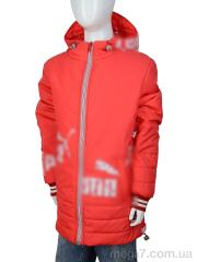 Куртка, SH&K оптом C003 red