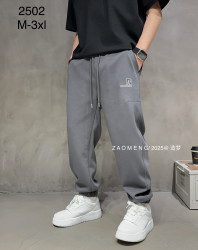 Спортивні штани чоловічі оптом 2BRO  