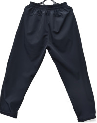 Спортивні штани чоловічі на флісі оптом        