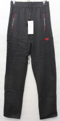 Спортивные штаны мужские на флисе (серый) оптом 01954786 L6701-6