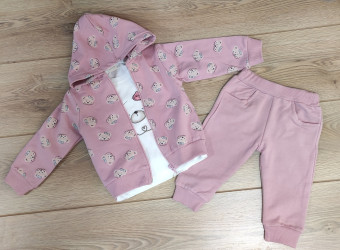 Спортивные костюмы детские оптом Emily kids 68024915 098-8