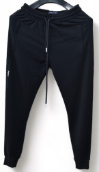 Спортивные штаны мужские POMAXI (темно-синий) оптом 57139860 03-37