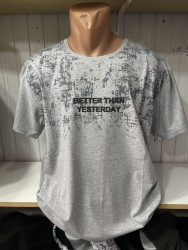 Футболки мужские БАТАЛ оптом 20135978 69-2