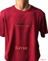 Футболки мужские БАТАЛ оптом 27601985 0102-15