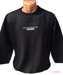 Свитшоты мужские оптом 84356179 0002-75