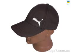 Кепка, Mabi оптом 0651 шоколадний