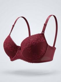 Бюстгальтер Acousma A6504DH (  бордовый, D  6 шт. )