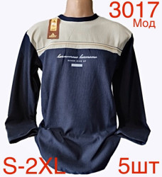 Світшоти чоловічі на флісі оптом 