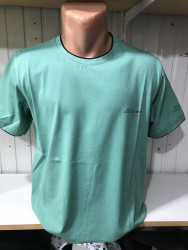 Футболки мужские оптом 21048375 55-7