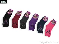 Носки, BIG оптом 8313 mix