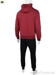 Спортивный костюм, BIG оптом --- 3838-01-3 bordo