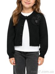 Свитер, Obuvok оптом TD-23 (99715) black