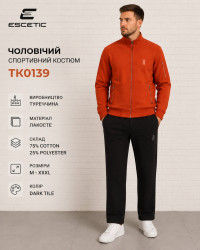 Спортивные костюмы мужские оптом 05692731 TK0139-260
