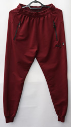 Спортивные штаны мужские оптом 89706415 25-177
