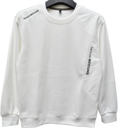 Світшоти чоловічі оптом        