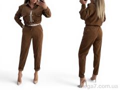 Спортивный костюм, Alisa Brand оптом 1002 моко