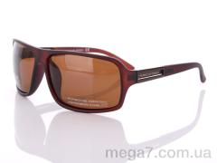 Очки, Egebar оптом P7504 C4