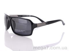 Очки, Egebar оптом P7504 C1