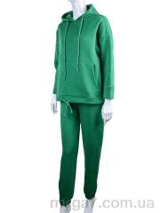 Спортивный костюм, Di.Va оптом 77-11 зелений