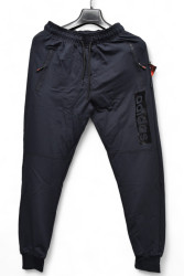 Спортивные штаны мужские (темно-синий) оптом 42180396 025-5