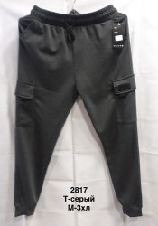 Спортивные штаны мужские оптом 02769843 2817-198