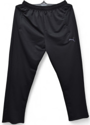 Спортивные штаны мужские БАТАЛ (черный) оптом 89205614 004-11