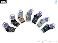 Носки, BIG оптом 3831 mix