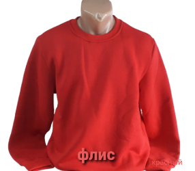 Свитшоты мужские на флисе оптом 74903261 004-38
