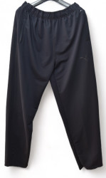 Спортивные штаны мужские (темно-синий) оптом 38462075 229-6