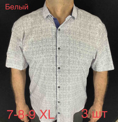 Рубашки мужские БАТАЛ PAUL SEMIH оптом 73156489 01 -1