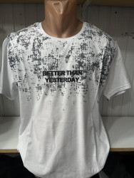 Футболки мужские БАТАЛ оптом 18596423 69-10