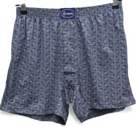 Трусы мужские БАТАЛ оптом 56182049 012-69