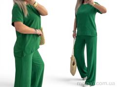 Спортивный костюм, Alisa Brand оптом 222 трава