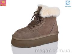 Ботинки, PLPS оптом 5856 brown