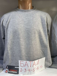 Світшоти чоловічі БАТАЛ оптом 