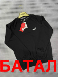 Свитшоты мужские БАТАЛ оптом 16972408 69-1