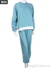 Костюм, BIG оптом 3708-4249-1 l.blue